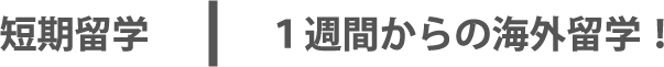 短期留学：１週間からの海外留学！